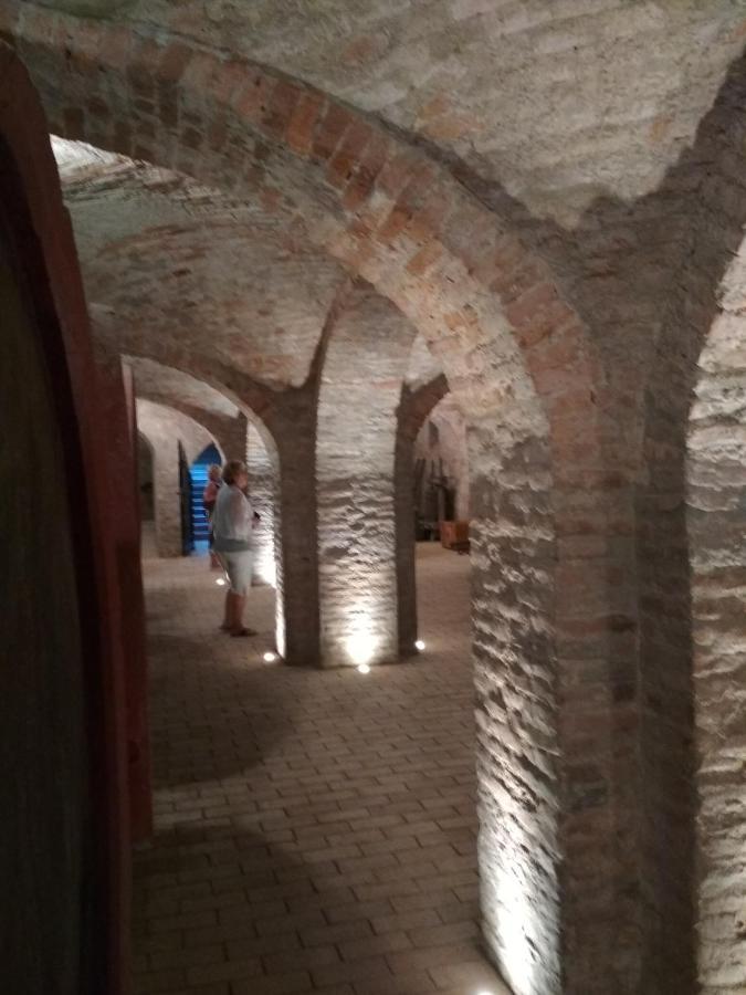 Апартаменты Golya Vendeghaz Tiszaug Экстерьер фото
